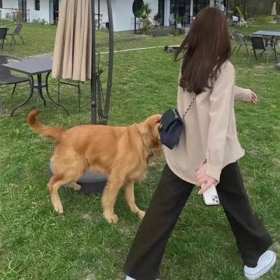 首尔怪谈